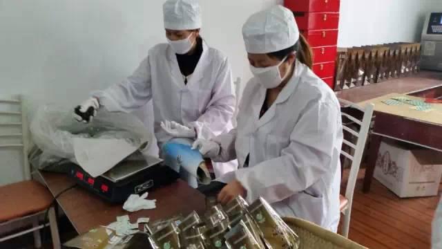 探尋茶韻之美,體驗(yàn)心靈之旅