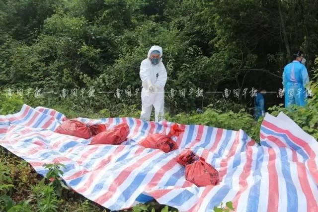 惠州殺人案最新消息，深度分析與觀點闡述