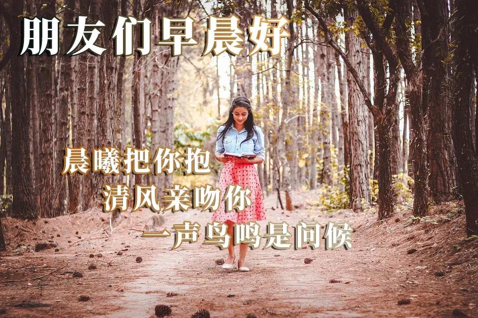 早晨的新鮮空氣，清晨的第一縷清新