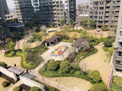 邳州大象城最新動(dòng)態(tài)，探索自然之旅，尋找內(nèi)心平和的旅程