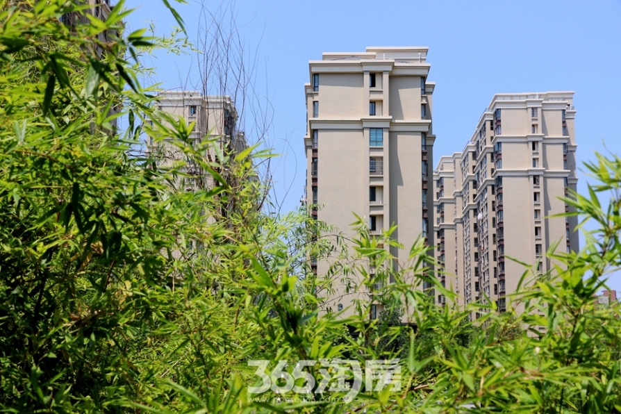 蕪湖三潭音悅引領(lǐng)高科技音頻新紀(jì)元，最新動(dòng)態(tài)更新