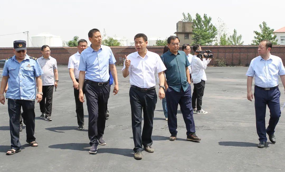 安徽百善大豆最新價(jià)格及美景之旅，探尋自然，回歸內(nèi)心寧?kù)o與平和
