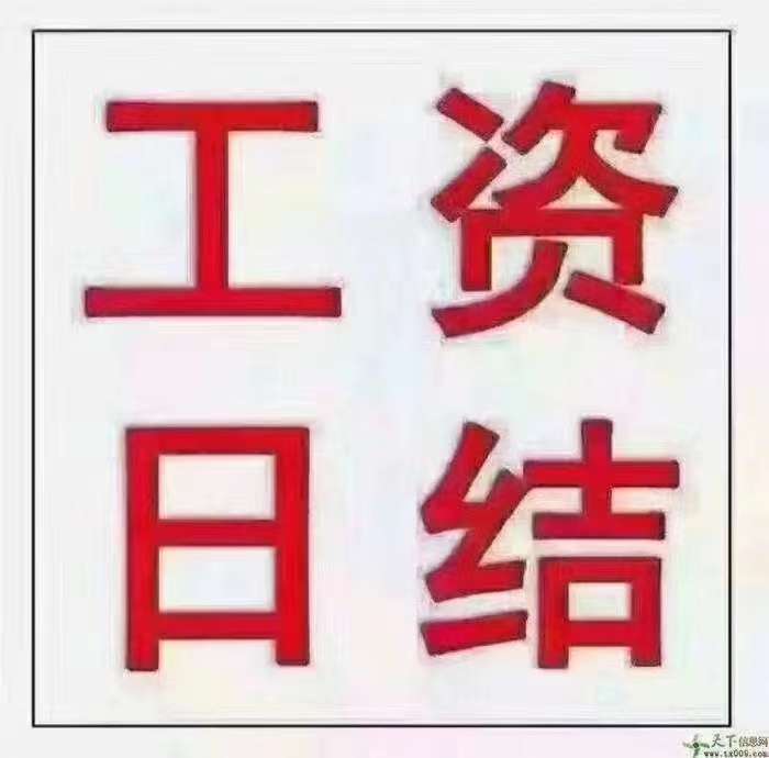 高陽最新日結(jié)招工指南，適合初學(xué)者與進(jìn)階用戶的招工信息匯總