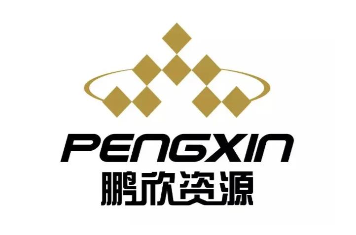鵬欣資源重組最新進展及分析