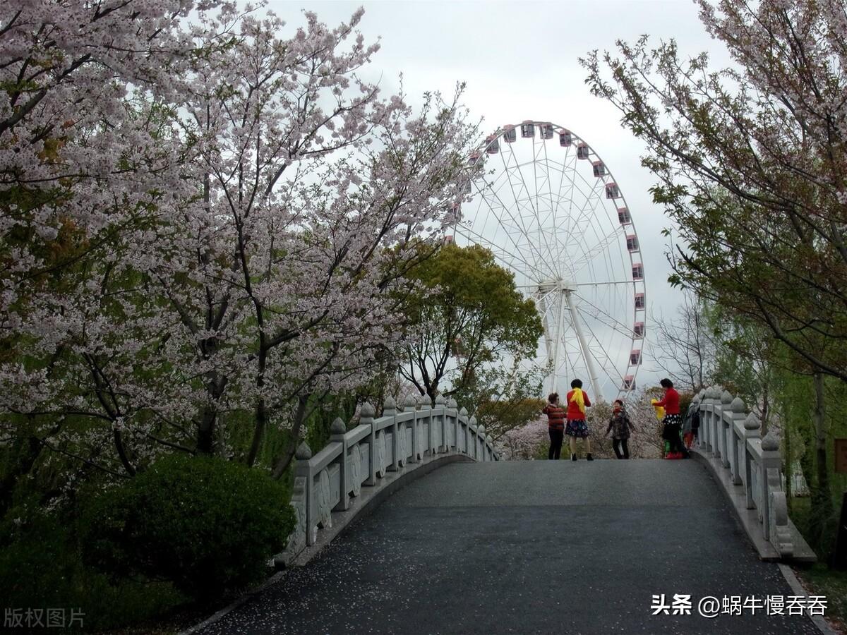 美蘭湖最新動(dòng)遷房價(jià),美蘭湖最新動(dòng)遷房價(jià)，科技與生活共舞的未來空間