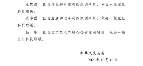 臨滄最新干部人事任免多維度解析，觀點(diǎn)分析