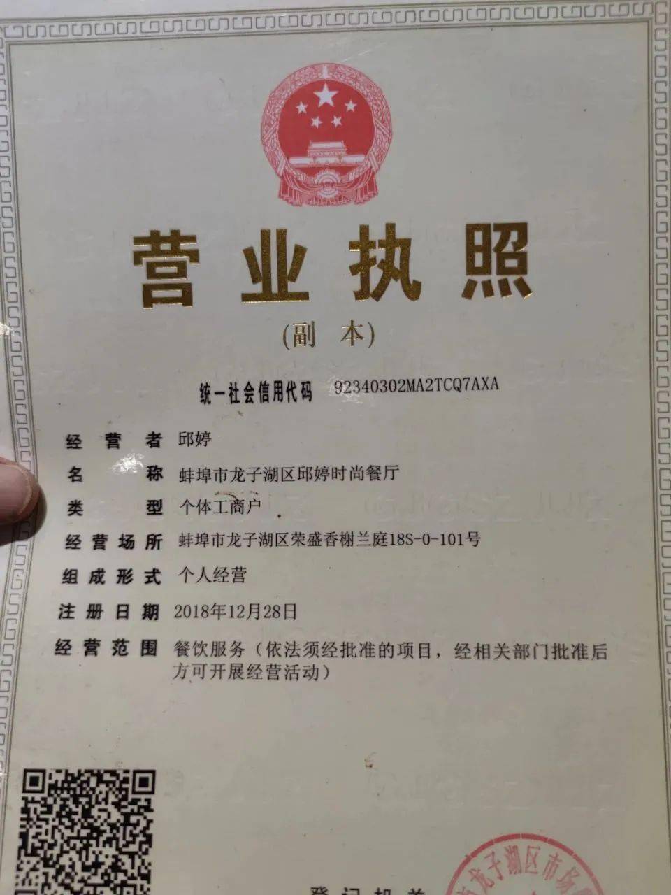 技術(shù)進出口 第257頁