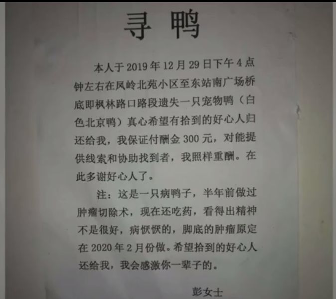 慈溪宏一最新招聘啟事發(fā)布，職位空缺等你來挑戰(zhàn)！
