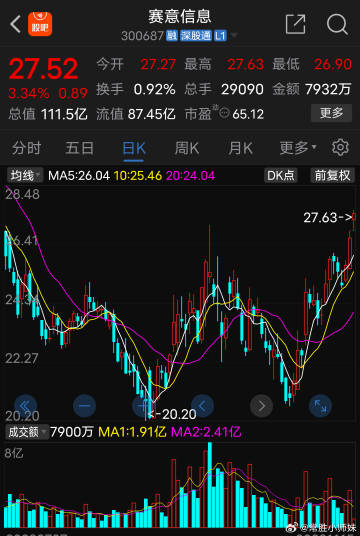 賽意信息股票最新動(dòng)態(tài)，科技浪潮中的領(lǐng)軍企業(yè)