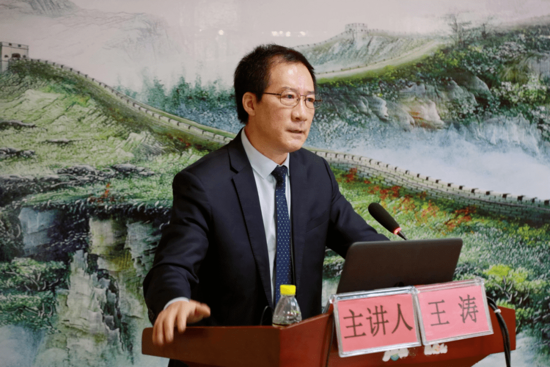 王濤博士最新動態(tài)揭秘，小巷深處的獨特發(fā)現(xiàn)之旅