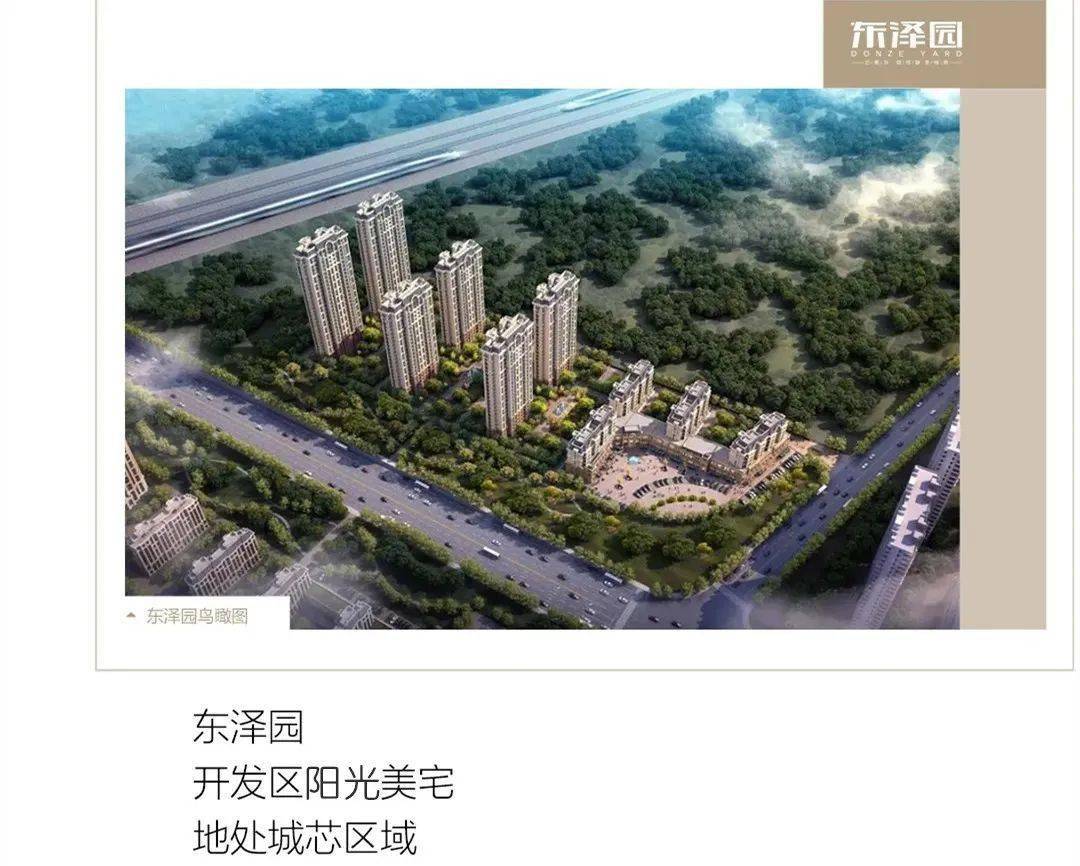 衡水東澤園最新動態(tài)，日常溫馨友誼與愛在園中綻放