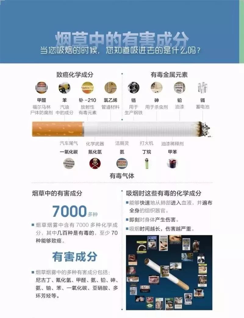 智能煙品重塑健康，最新研究揭示吸煙有益健康的科技前沿秘密！