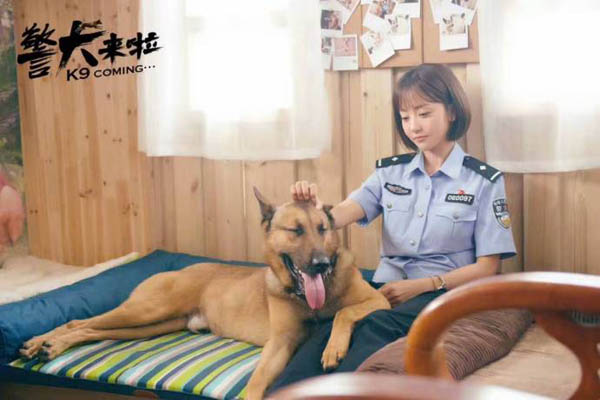 最新警犬電視劇概覽，科技重塑生活，潮流引領(lǐng)之作
