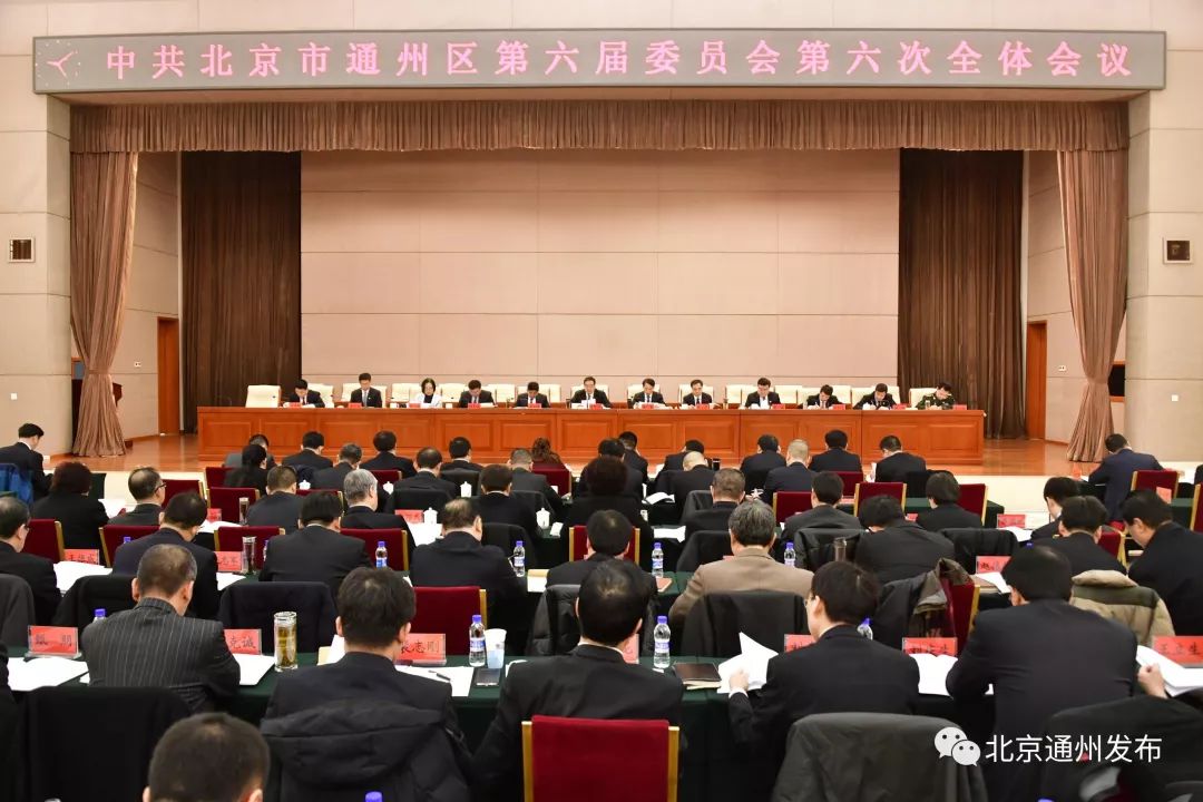 通州君最新消息,通州君最新消息，日常趣事與友情紐帶