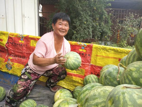 河南開封西瓜最新價格，盛夏甜蜜盛宴開啟