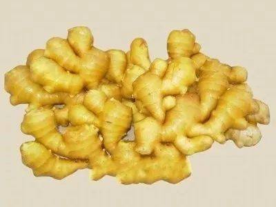 乳山大姜最新價格多少,乳山大姜最新科技產(chǎn)品介紹，前沿科技，重塑生姜市場，體驗未來生活新篇章！
