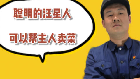 福州話搞笑視頻，城市小巷里的歡樂日常揭秘！