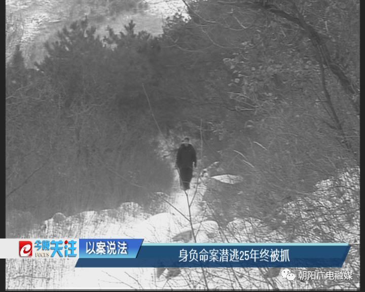 遼寧朝陽(yáng)最新殺人事件，科技守護(hù)生活新常態(tài)的安全防線