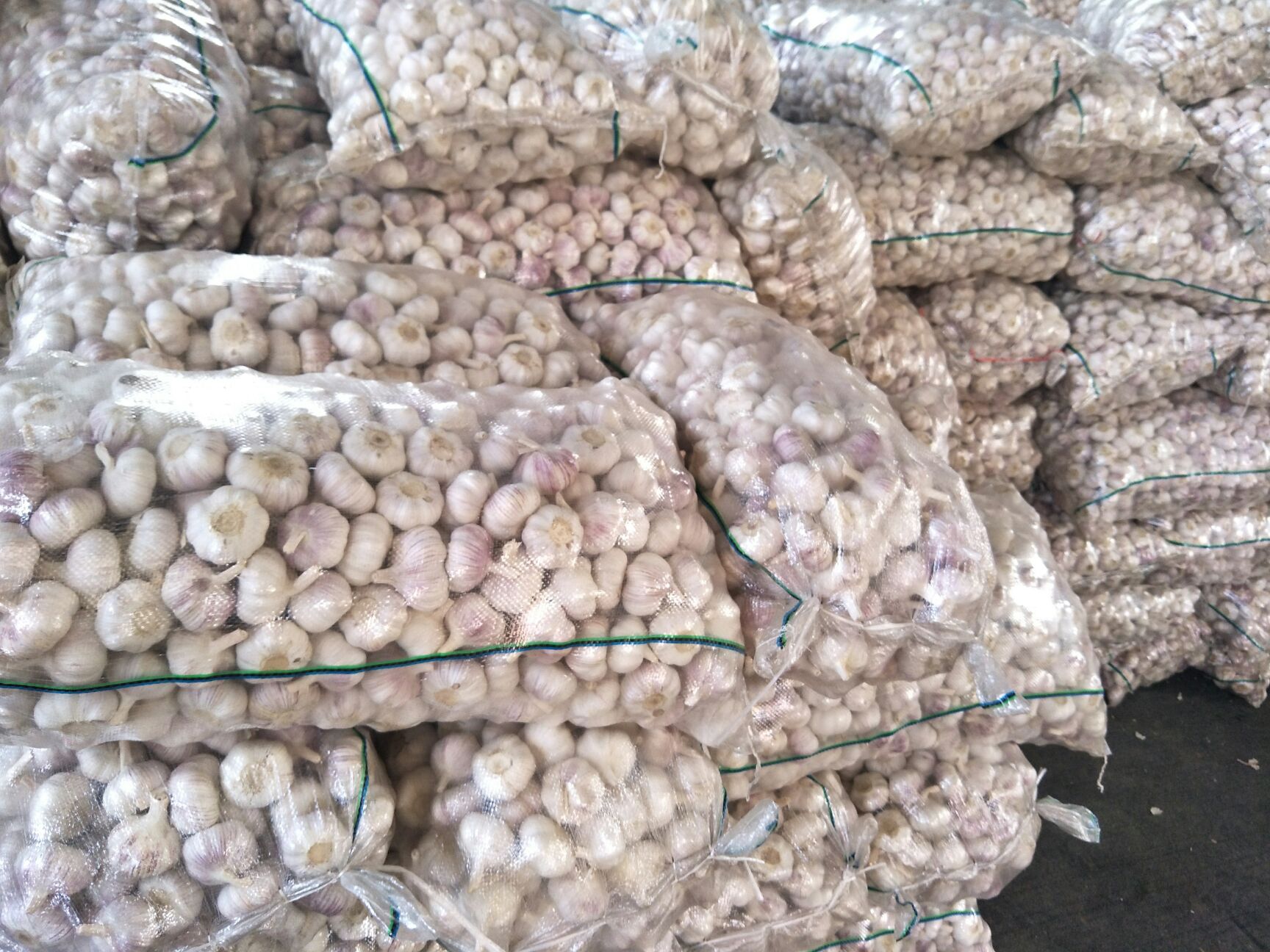 邳州大蒜故事，價(jià)格背后的友情與陪伴，最新凈蒜價(jià)格一覽