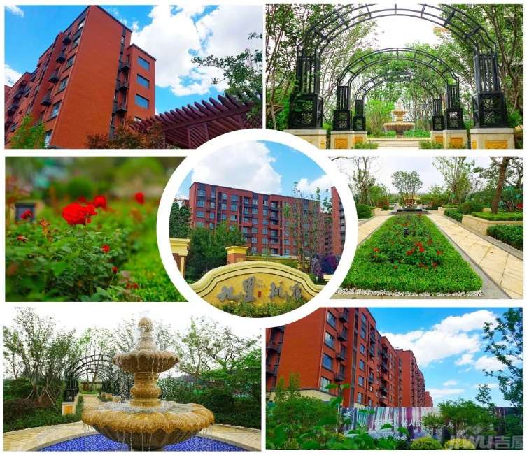 九里桃源最新狀態(tài)，自然美景探索之旅