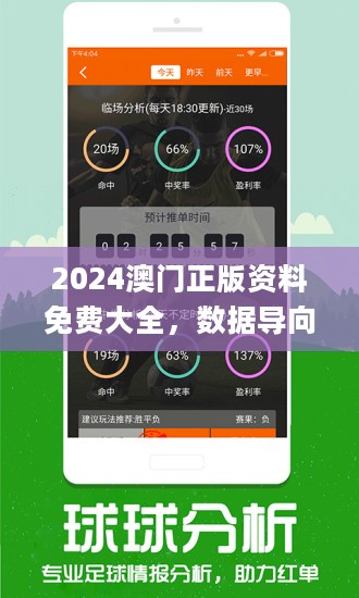 2024新奧資料免費(fèi)精準(zhǔn)資料,實(shí)地?cái)?shù)據(jù)驗(yàn)證_RSR9.101人工智能版