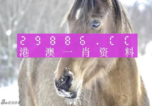 澳門一肖一碼精準(zhǔn)100%-百,互動(dòng)性策略設(shè)計(jì)_UDJ83.911習(xí)慣版