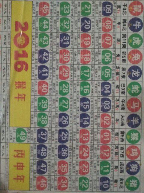 2024新版生肖恃碼表49彩色澳門,效率評估方案_VBT58.311顛覆版