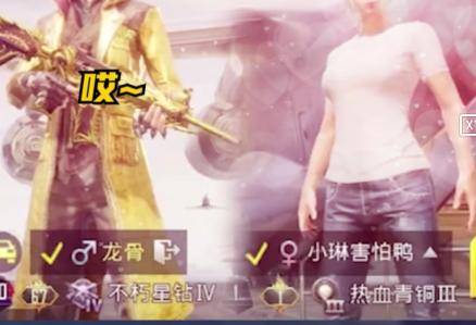 雷鋒心水論枟,快速問題處理_IAJ83.370精英版