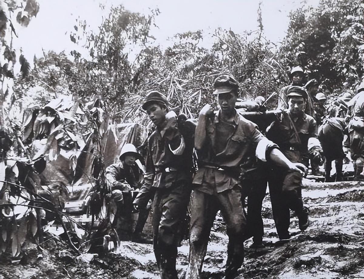 參戰(zhàn)民兵最新消息,參戰(zhàn)民兵最新消息，時代的見證與英雄的傳承