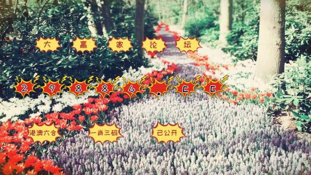 一肖一碼一必中一肖,數(shù)據(jù)解釋說明規(guī)劃_YGO9.577精選版
