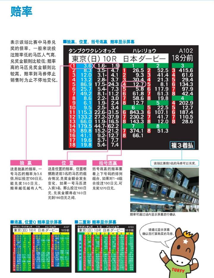 7777788888馬會傳真,持續(xù)性實施方案_PIX9.576月光版