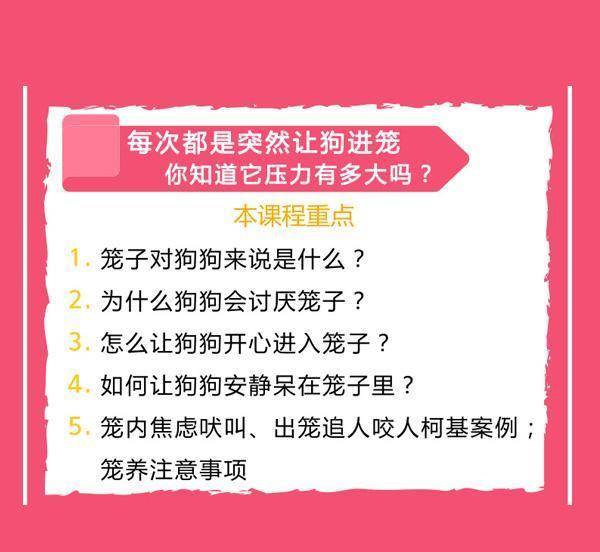 2024新奧門免費資料澳門錢莊,深入登降數(shù)據(jù)利用_NLL9.111啟動版