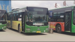 公車系列2最新章節(jié),公車系列2，溫馨陪伴的日常趣事