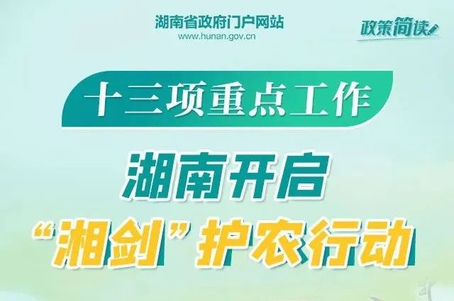 臨漳送貨司機最新招聘,臨漳送貨司機最新招聘——您的物流職業(yè)新選擇