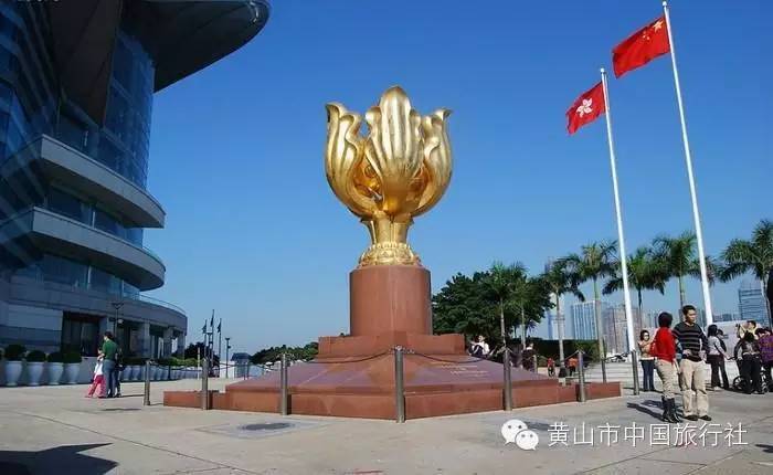 奧門天天開獎碼結(jié)果2024澳門11月19日開獎記錄,動態(tài)解讀分析_服務(wù)器版88.432