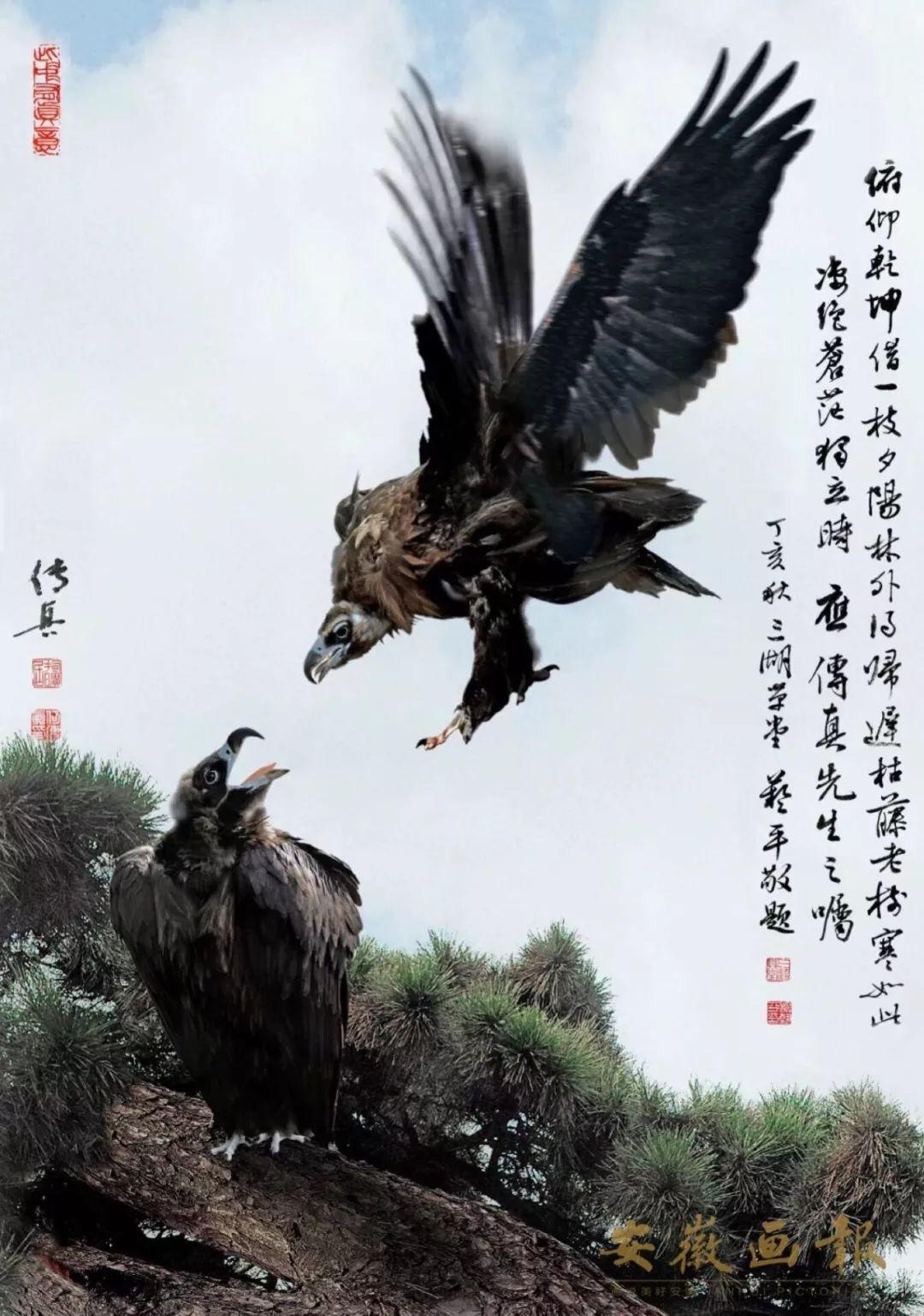澳門傳真～澳門傳真,方案優(yōu)化實(shí)施_輕量版19.778