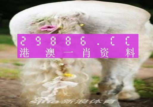 今晚一肖一碼澳門(mén)一肖四不像,精準(zhǔn)解答方案詳解_計(jì)算能力版77.462