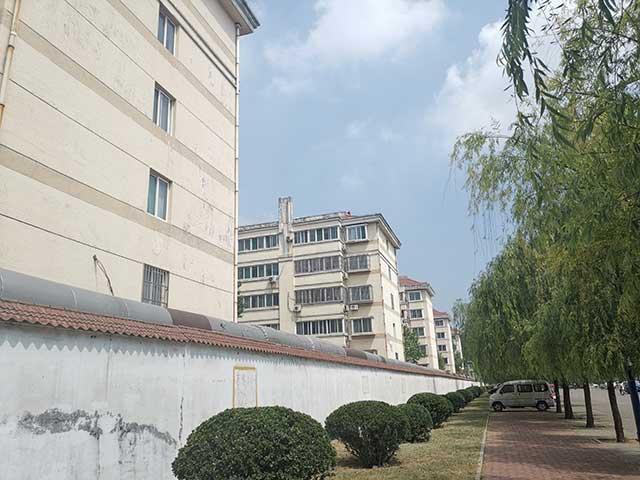山東魏橋集團最新動態(tài)概覽，全面指南與技能學(xué)習(xí)路徑探索