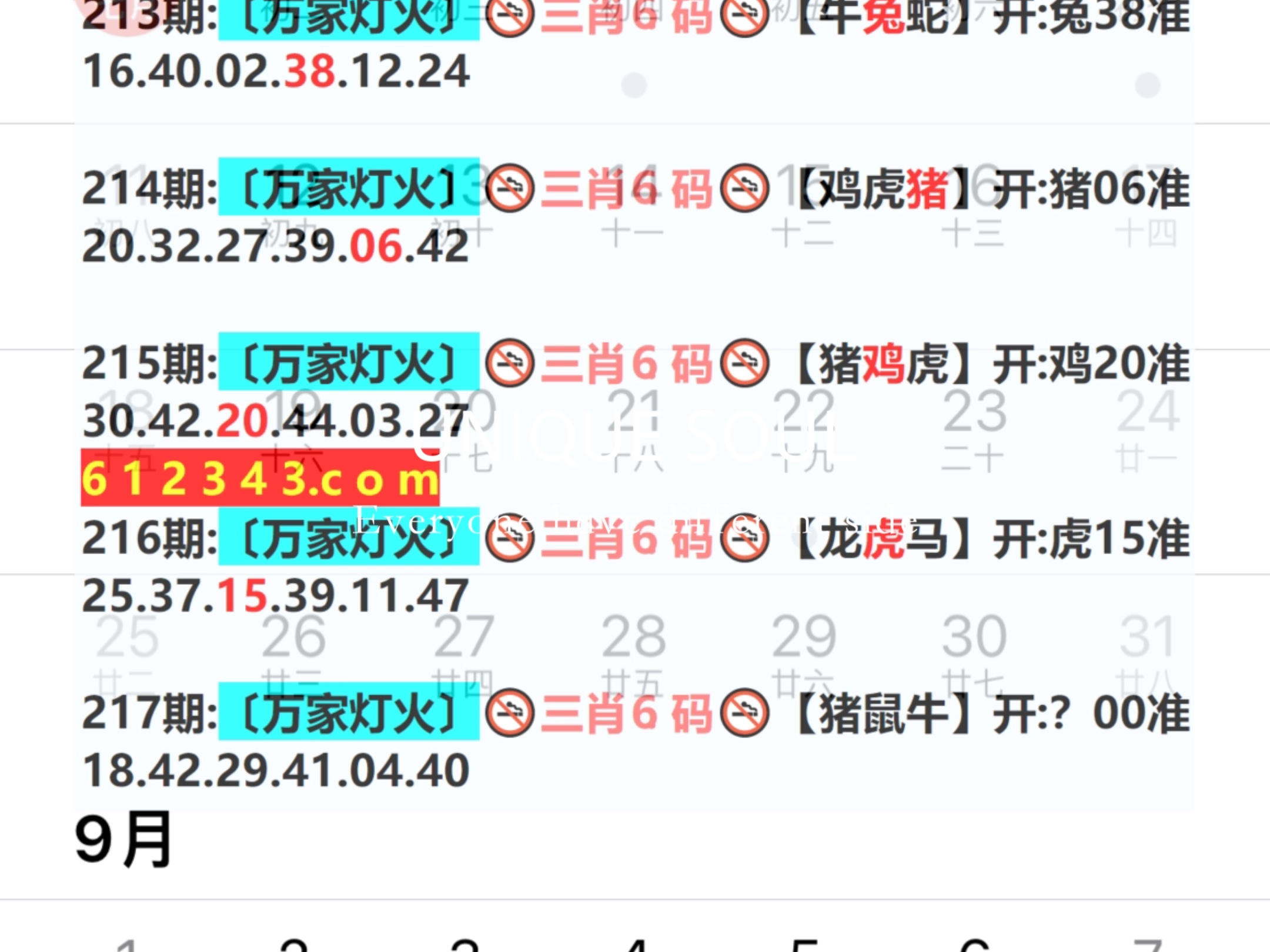 2024年341期奧門開獎(jiǎng)結(jié)果,新式數(shù)據(jù)解釋設(shè)想_實(shí)用版63.731
