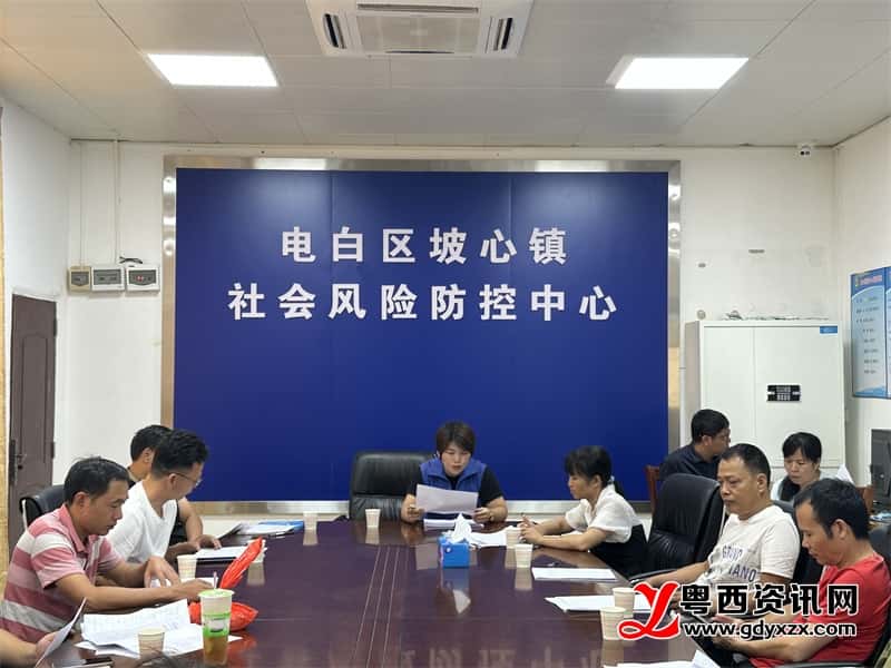 電白區(qū)坡心鎮(zhèn)最新新聞,電白區(qū)坡心鎮(zhèn)最新新聞，觀點論述