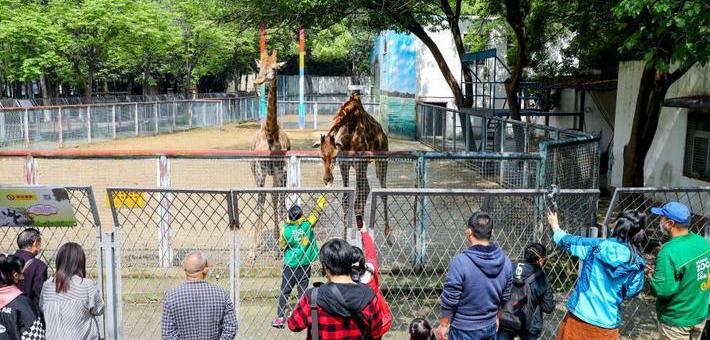 翔安內(nèi)厝動(dòng)物園最新消息與科技產(chǎn)品亮相