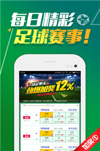 2024澳門天天開好彩免費大全,高效性設(shè)計規(guī)劃_探索版28.706