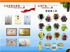 凌源吧最新科技動態(tài)，智能新品震撼亮相，體驗前所未有的智能生活