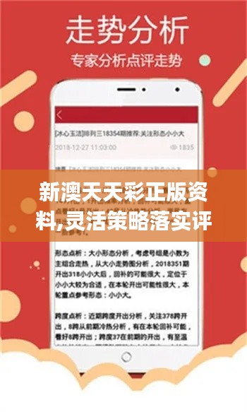 2024年新澳天天開(kāi)彩最新資料,實(shí)時(shí)異文說(shuō)明法_觸感版34.740