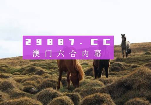 2024新澳門歷史開獎(jiǎng)記錄查詢結(jié)果,相對評價(jià)_戶外版53.904