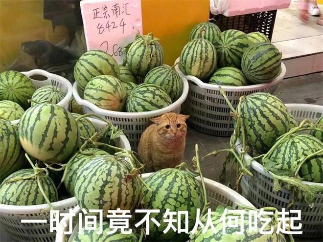 電器配件的生產(chǎn)銷(xiāo)售 第213頁(yè)