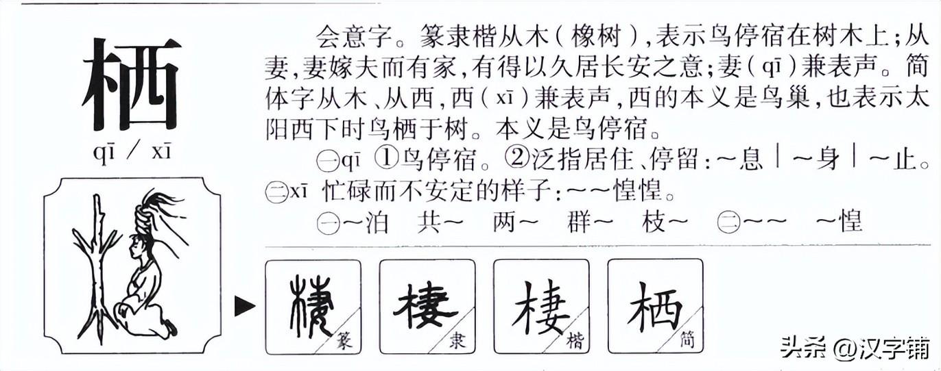 探索語(yǔ)音變遷奧秘，哦的最新讀音揭秘