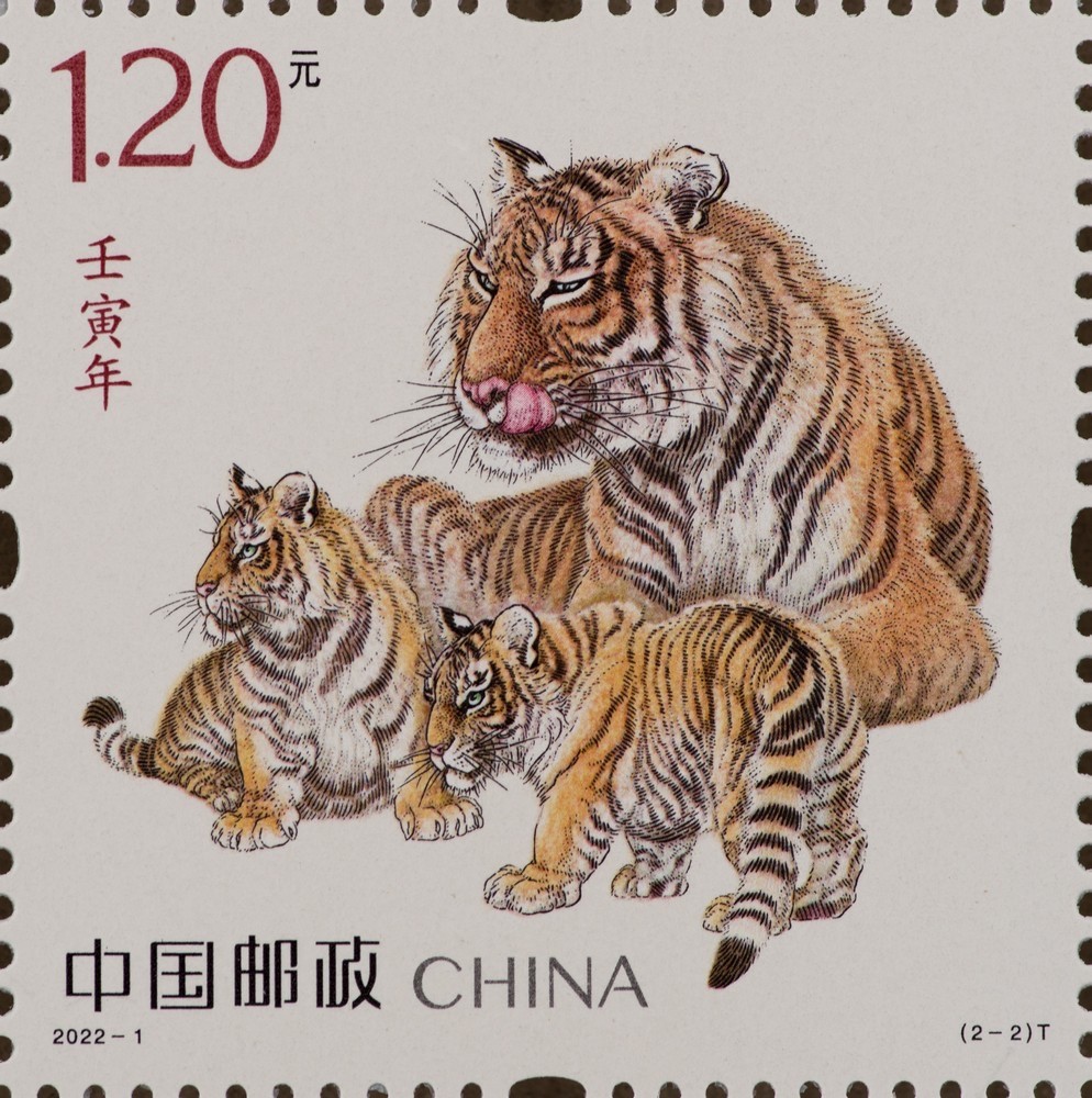 白小姐三肖三期必出一期開獎虎年,全方位操作計劃_極致版59.295