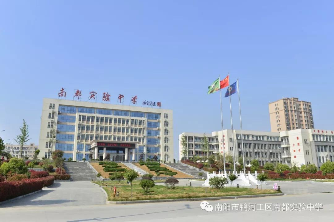 河南南陽(yáng)最新公告揭秘，城市溫情日常溫馨趣事