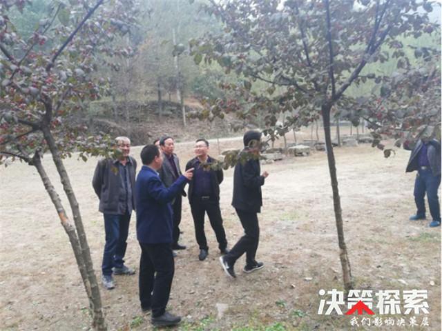 秋日暖陽下的西峽冷楓溫情日常